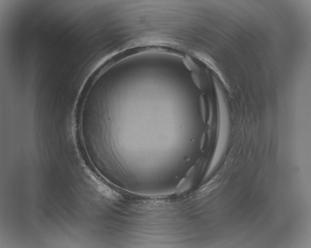 X0000075821024200609151207