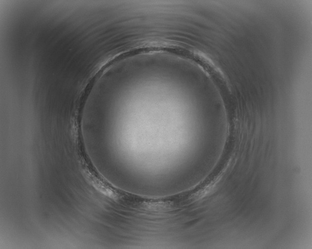 X0000075821025200609151207