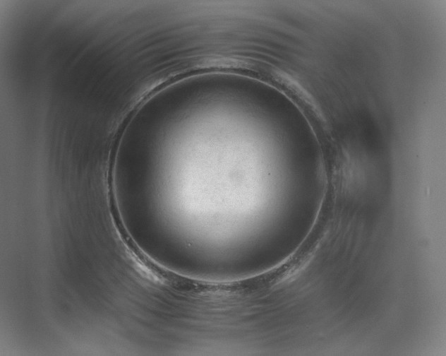 X0000075821033200609151207