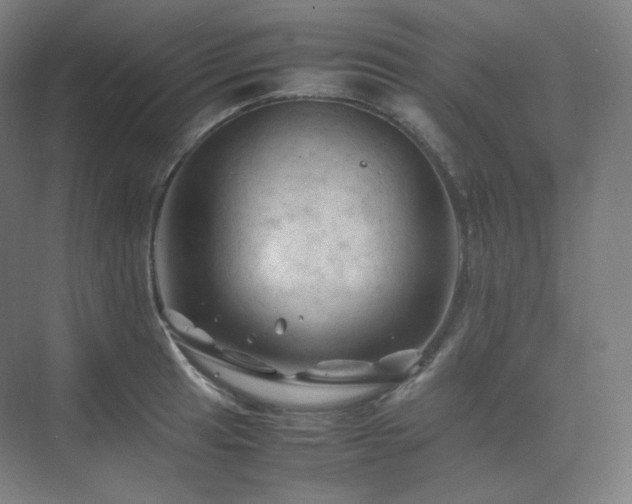 X0000075821041200609151207