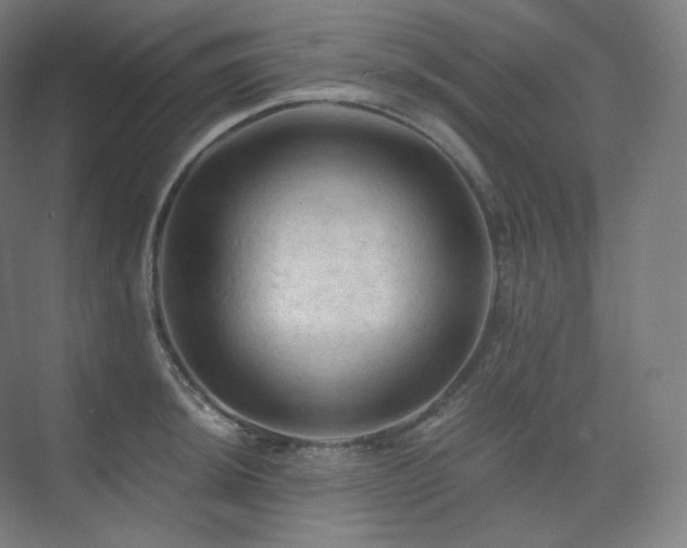 X0000075821044200609151207