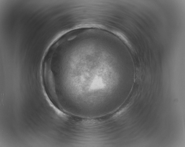 X0000075821046200609151207