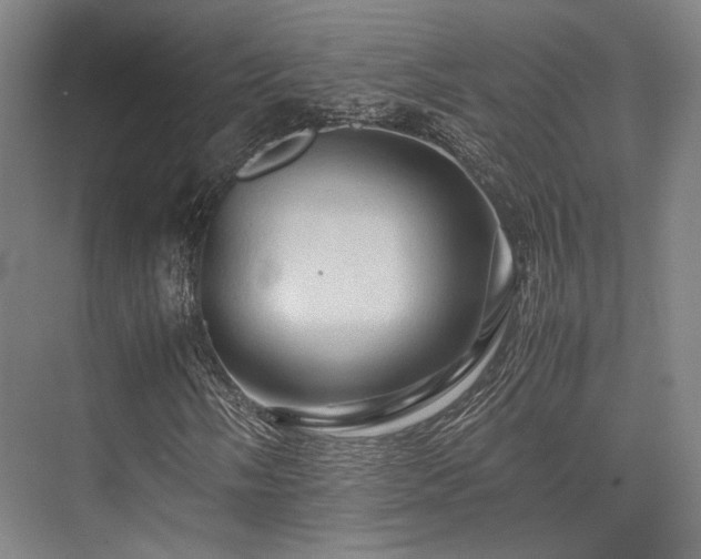 X0000075821058200609151206
