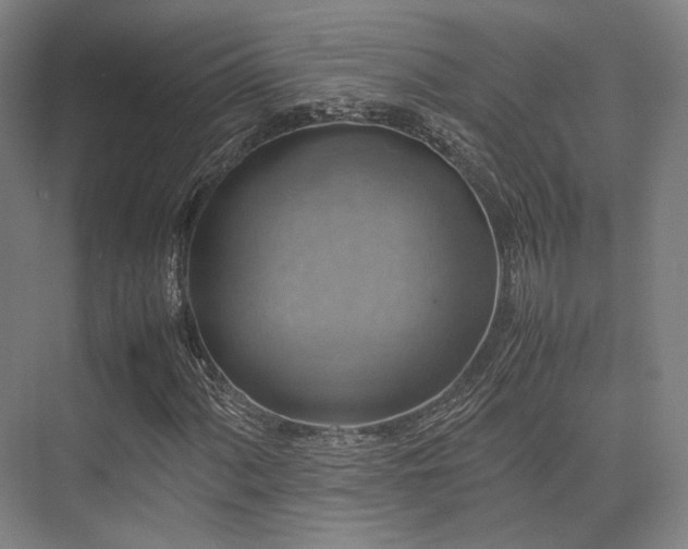 X0000075821060200609151206