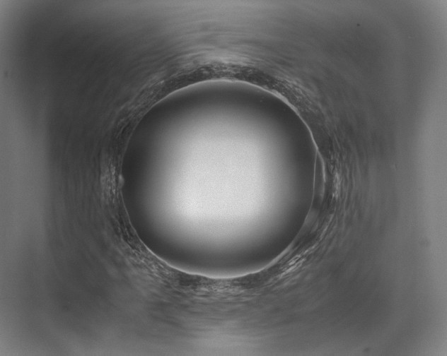 X0000075821061200609151206