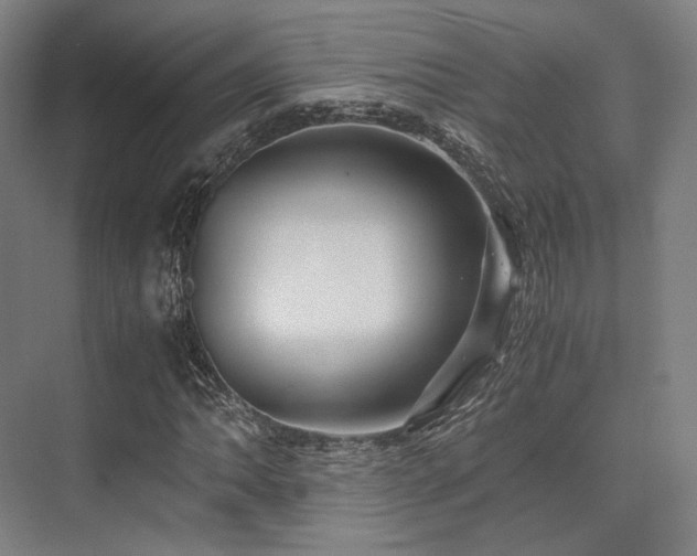 X0000075821062200609151206