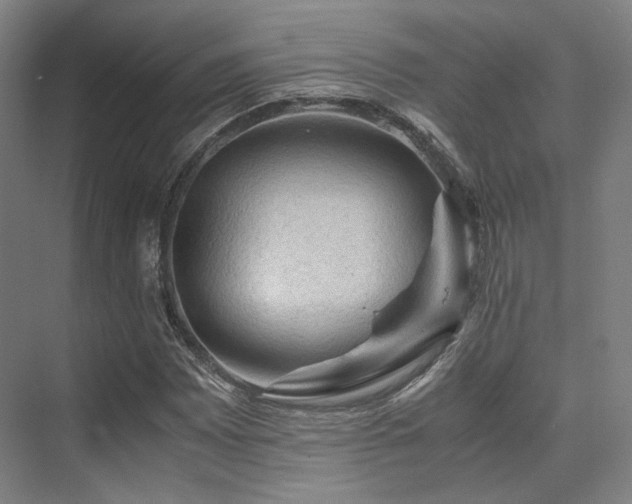 X0000075821065200609151206
