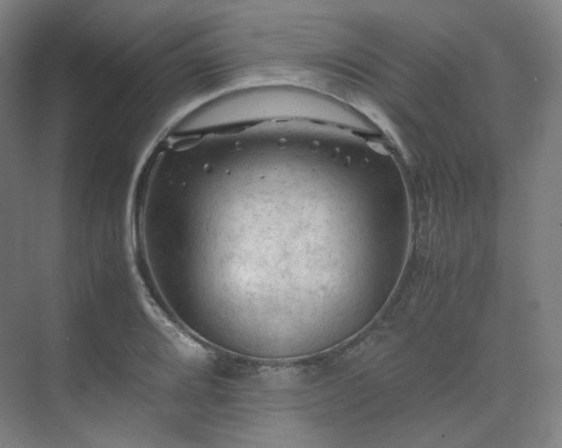 X0000075821080200609151206