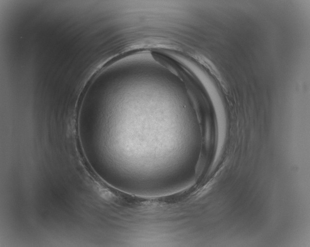 X0000075821081200609151206