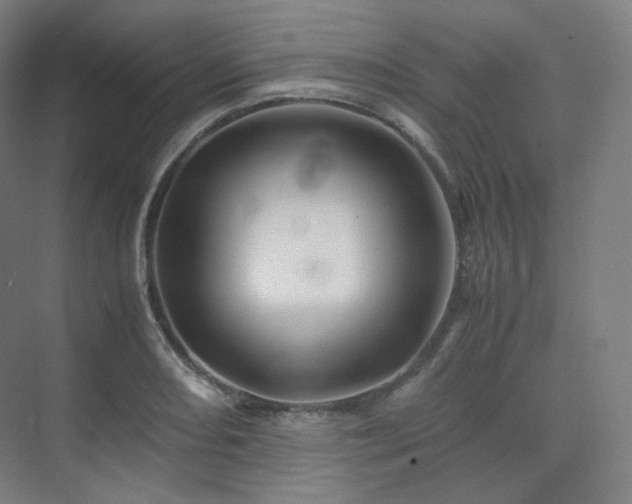 X0000075821082200609151206