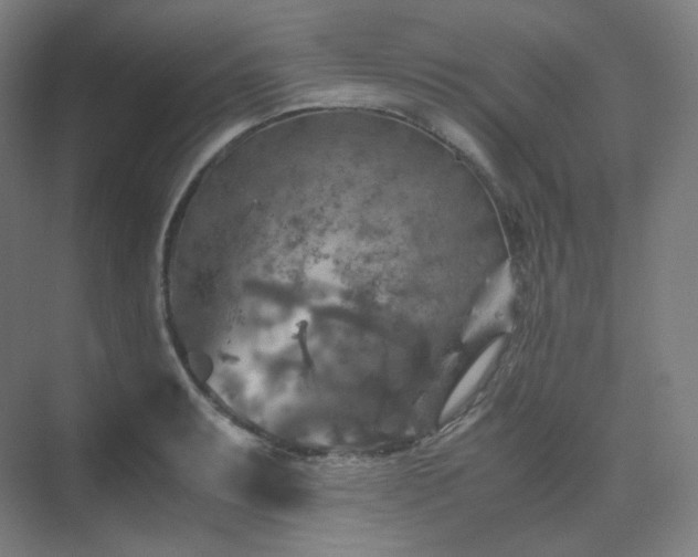 X0000075821087200609151206