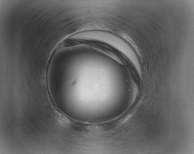 X0000075821089200609151206