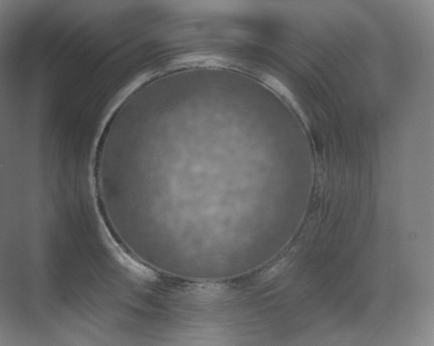 X0000075821090200609151206