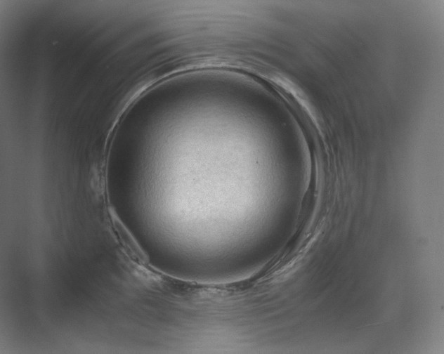 X0000075821097200609151206