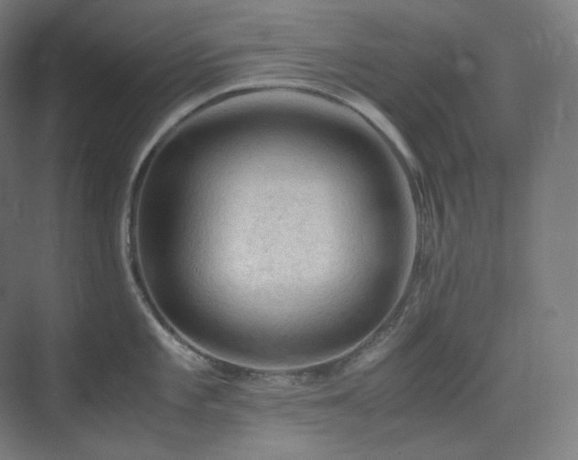 X0000075821101200609151206