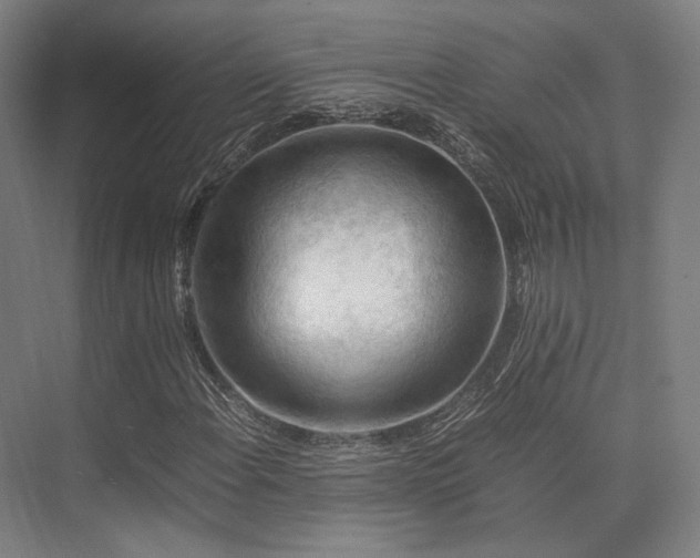 X0000075821108200609151205