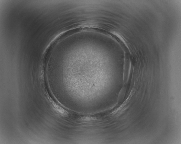 X0000075821115200609151205