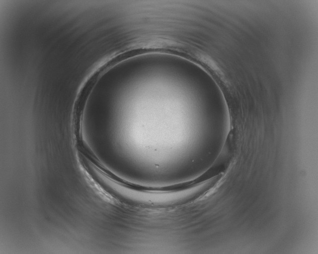 X0000075821122200609151205