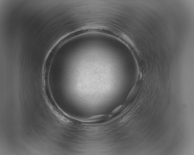 X0000075821124200609151205
