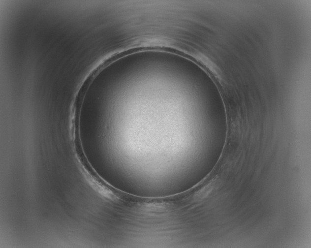 X0000075821126200609151205