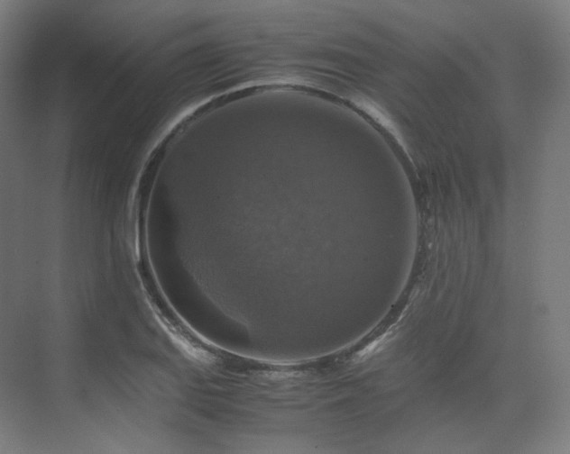 X0000075821127200609151205