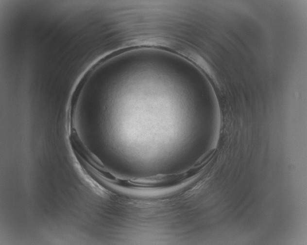 X0000075821132200609151205