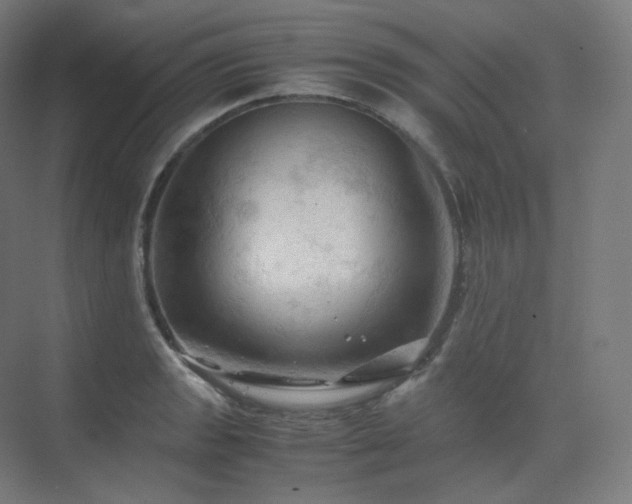 X0000075821133200609151205
