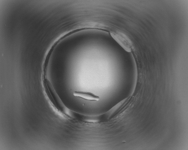 X0000075821136200609151205