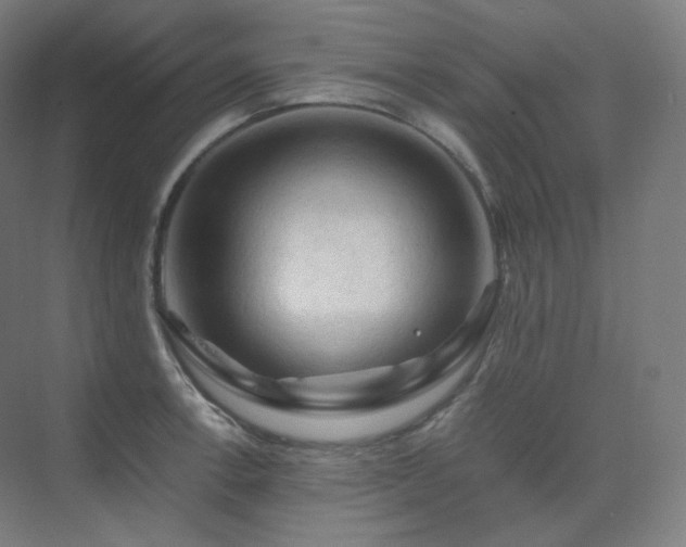 X0000075821138200609151205