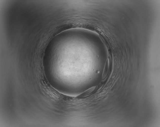 X0000075821153200609151205
