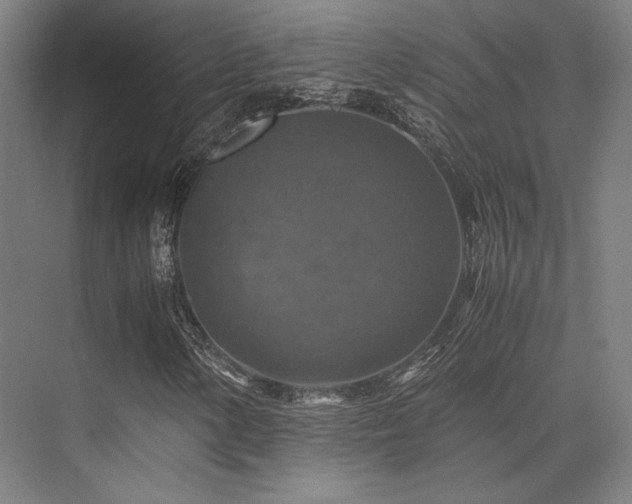 X0000075821154200609151205