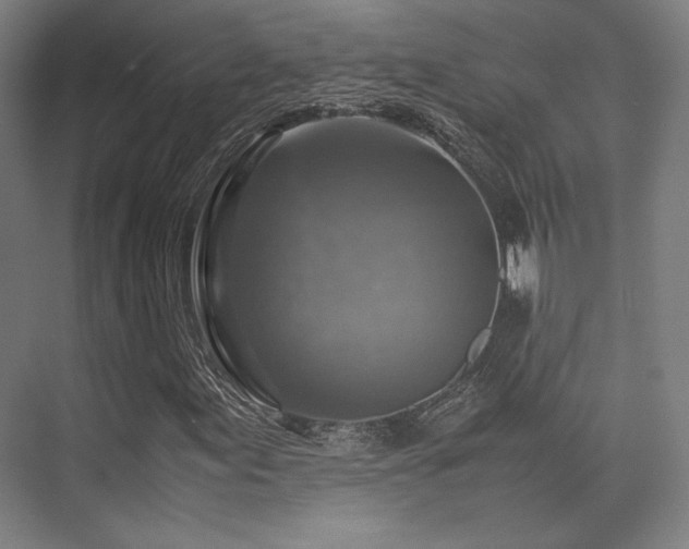 X0000075821155200609151205