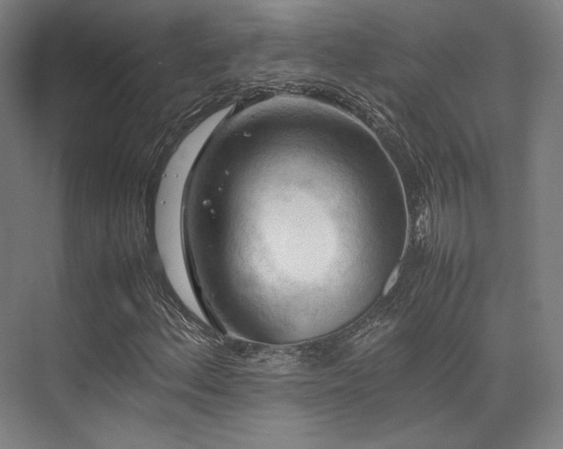 X0000075821156200609151205