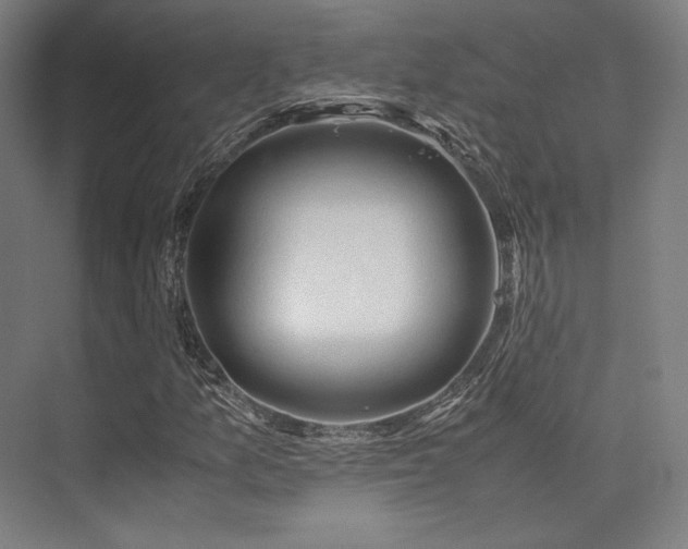 X0000075821157200609151205