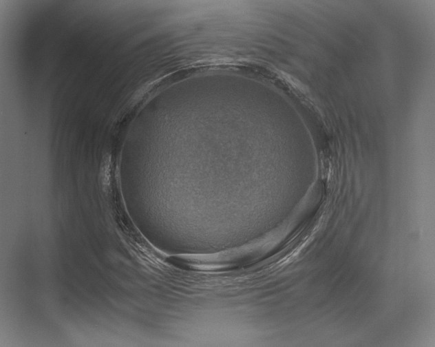 X0000075821161200609151205
