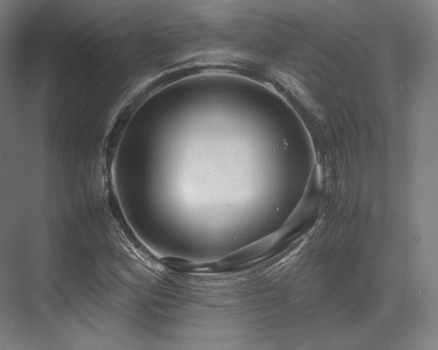 X0000075821164200609151205