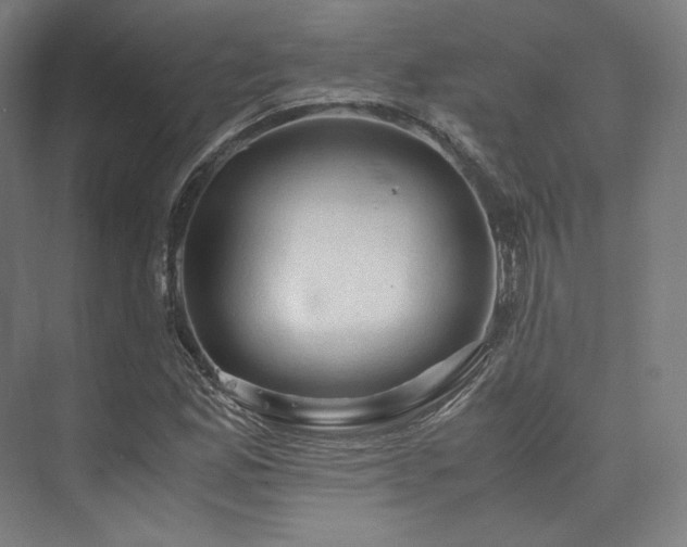 X0000075821165200609151205