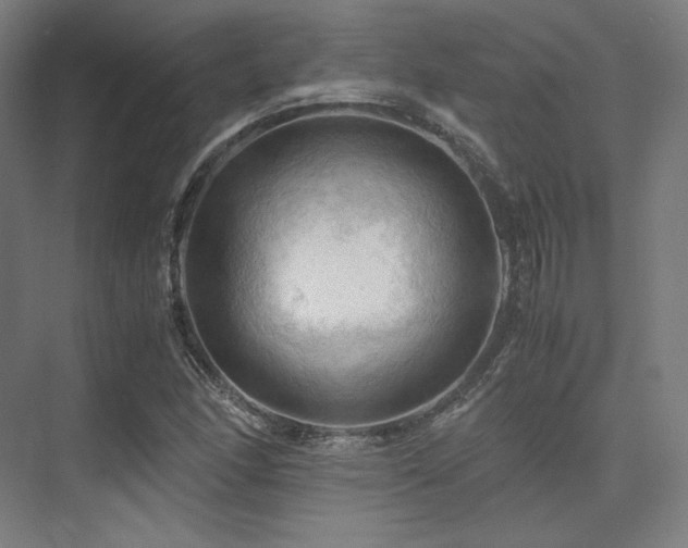 X0000075821166200609151205