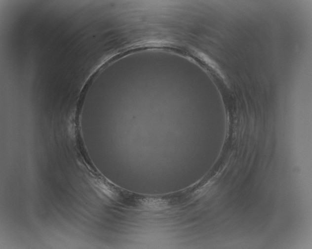 X0000075821170200609151205