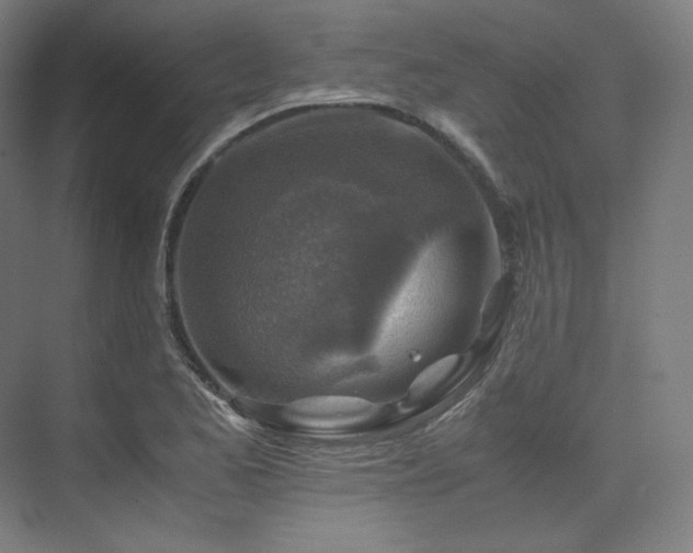 X0000075821173200609151205