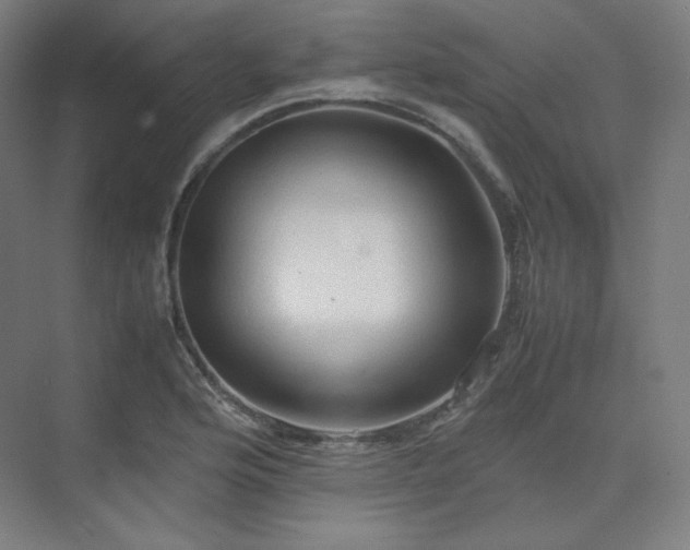 X0000075821176200609151204
