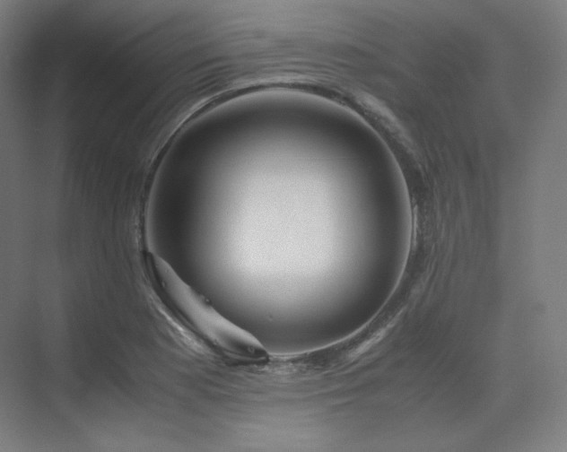 X0000075821177200609151204