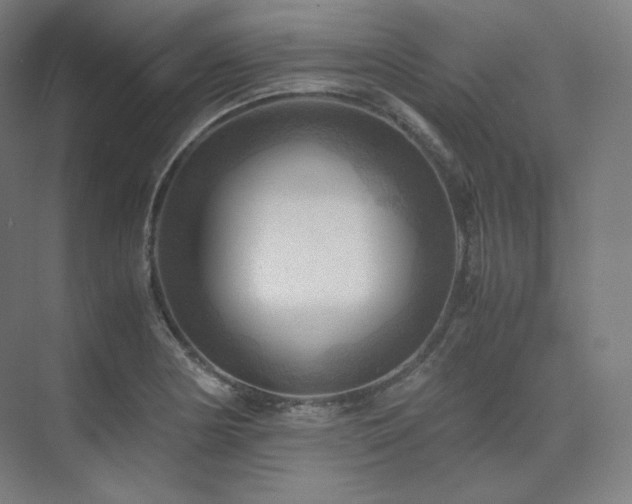 X0000075821178200609151204