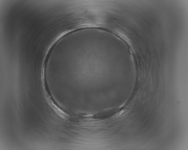 X0000075821179200609151204