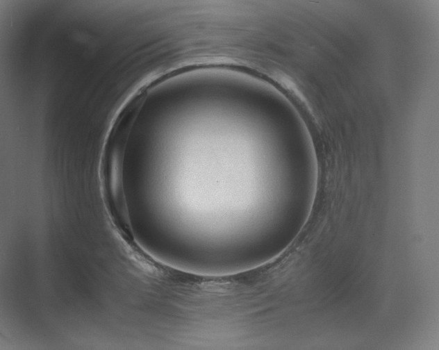 X0000075821181200609151204
