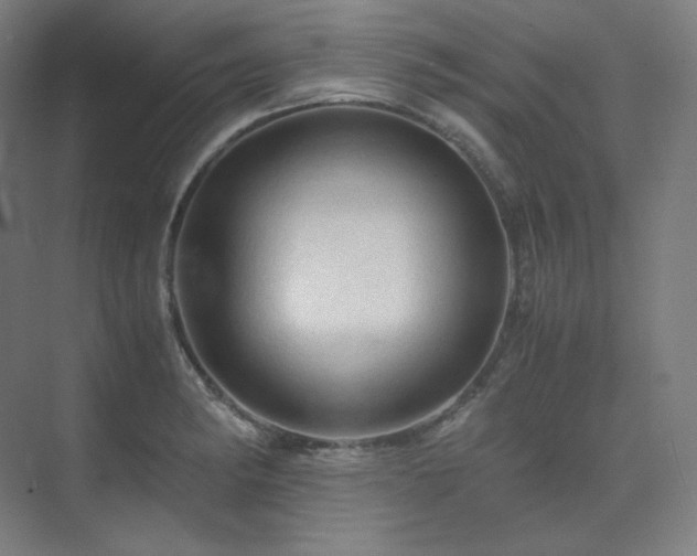 X0000075821182200609151204