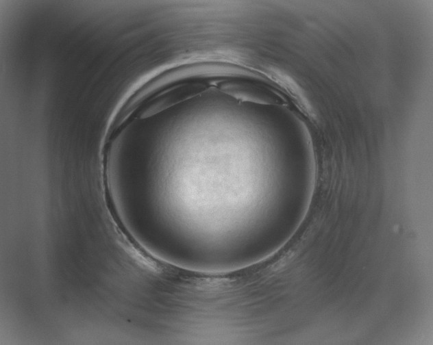 X0000075821184200609151204