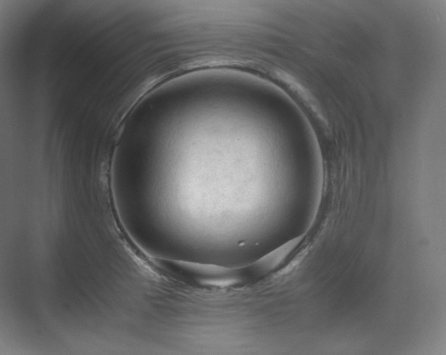 X0000075821185200609151204
