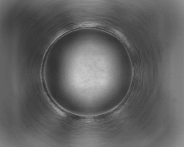 X0000075821186200609151204