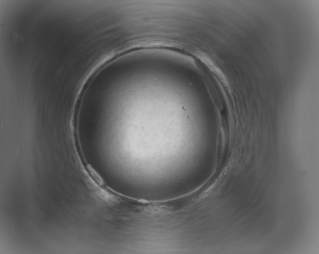 X0000075821189200609151204